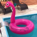 Ver imagem 4 de Boia Flamingo Rosa 120cm Inflável Gigante Modelos Pop