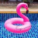Ver imagem 6 de Boia Flamingo Rosa 120cm Inflável Gigante Modelos Pop