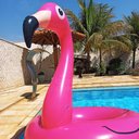 Ver imagem 3 de Boia Flamingo Rosa 120cm Inflável Gigante Modelos Pop