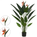 Ver imagem 1 de Planta Arvore Artificial Estrelícia C/flor Pu C/pote X18 Verde 1,2cm