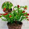 Arranjo De Pimenta Artificial Vaso Decoração Centro de Mesa - 4