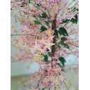 Ver imagem 3 de Planta Artificial Árvore Lírio Inglês com 1,60 Metros de Altura