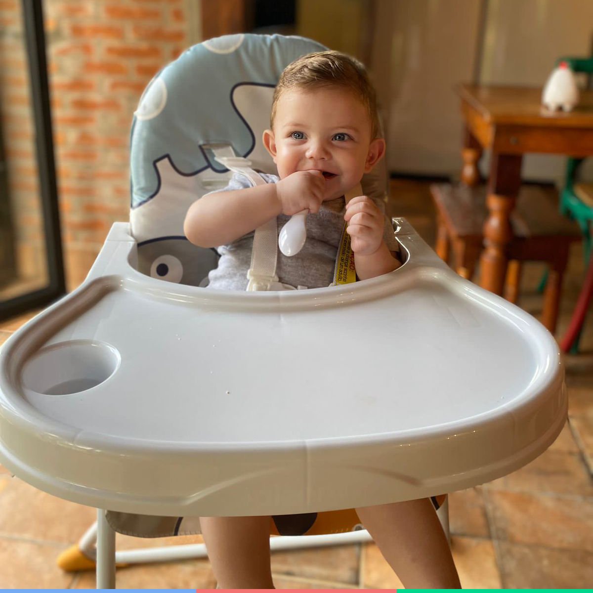 Cadeira Alta De Bebe Para Alimentação Refeição Até 23 Kg Nick Dino Galzerano - 10