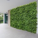 Ver imagem 7 de 23 Placas para Jardim Vertical Premium Folhagem Verde Aparência Realista 60x40cm Qualidade 3d