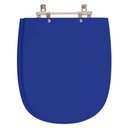 Ver imagem 1 de Tampa de Vaso Sabatini Azul Para Bacia Icasa