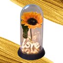 Ver mais imagens de Luminária Love O Girassol Encantado 28 Cm Presente para Namorada Presente De Natal Presente dia das 