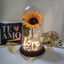 Ver imagem 7 de Luminária Love O Girassol Encantado 28 Cm Presente para Namorada Presente De Natal Presente dia das 