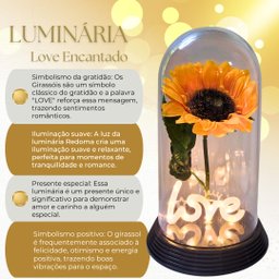 Luminária Love O Girassol Encantado 28 Cm Presente para Namorada Presente De Natal Presente dia das  - 3