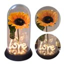 Ver imagem 6 de Luminária Love O Girassol Encantado 28 Cm Presente para Namorada Presente De Natal Presente dia das 