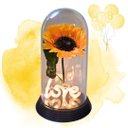 Ver imagem 4 de Luminária Love O Girassol Encantado 28 Cm Presente para Namorada Presente De Natal Presente dia das 