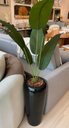 Ver imagem 3 de Vaso Fibra de Vidro Florida m 80cm Decorativo Preto Brilho