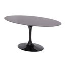 Ver imagem 3 de Mesa de Jantar Tulipa Saarinen Oval 244x137 Cm Tampo Laqueado Cores Preto
