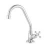 Torneira de Cozinha Bica Alta de Mesa Gut C33 1267 Leão - 1