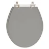 Assento Sanitario Poliester com Amortecedor Ravena Cinza Vip para bacia Deca - 1