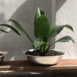 Bacia de Alumínio Redonda para Banho Assento e Cozinha 55cm Global 507glb - 2