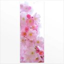 Ver imagem 2 de Adesivo de Porta Flores Cerejeira 2 Arte Destaque G - 0,93 X 2,13 Metros