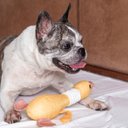 Ver imagem 5 de PELÚCIA ANIMAIS PATO PARA PET