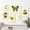 Ver imagem 1 de Composição 6 Quadros Decorativos Borboletas Vintage:madeira Branca