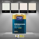 Ver imagem 6 de Base a Emborrachada Premium 16,2l | Tinsul Bases