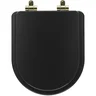 Assento Sanitário Poliéster Soft Close Duna Preto Fosco para Vaso Deca com Ferragem Dourada - 1
