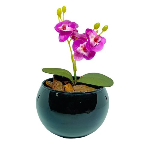 Vaso Decorativo Aquario Preto Esmaltado com Mini Orquídea - Pink