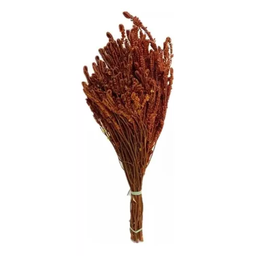 Folhagem Buquê Capim Verde-amarelo Cor Laranja Arranjo Seco - 3