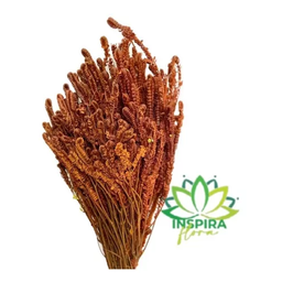 Folhagem Buquê Capim Verde-amarelo Cor Laranja Arranjo Seco - 4