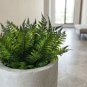 Ver mais imagens de Kit 15 Buquês de Ruscus Verde Artificial 35cm | Ideal para Decoração de Salas e Escritórios