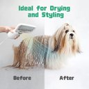 Ver imagem 2 de Super 2 em 1 Secador Cabelo Pente Escova Cão Gato Secar Portátil 110v