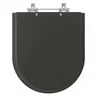Assento Sanitário Smart Preto Fosco (noite) Para Vaso Celite - 1