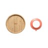Prato Raso Com Ventosa Para Alimentação Bebê 6 Meses Bambu FisherPrice - Rosa - 4