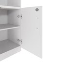 Ver imagem 5 de Armário Escritório Estante 80cm 2 Portas 3 Prateleiras F5