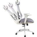 Ver imagem 7 de Kit com 8 Cadeiras Office Presidente Ajustavel e Ergonomica com Nr 17 Everest