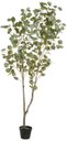 Ver imagem 1 de Planta Artificial Arvore Eucalipto C/pote X360 Verde 1,6cm