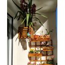 Ver imagem 4 de Cachepô, Jardim Vertical, Cachepot de Madeira, Vaso Cachepô C3