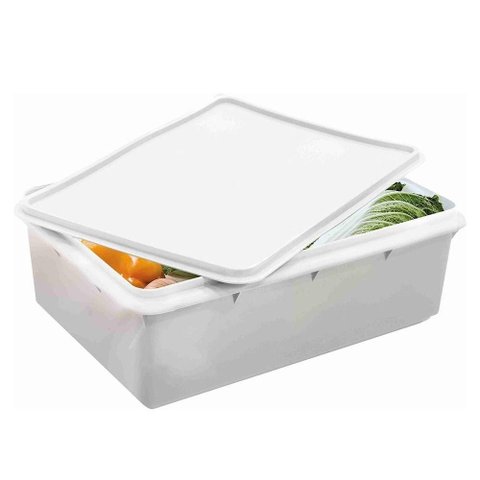 Caixa Plástica Organizadora Empilhável e Hermética com Tampa 3,5l Plasvale - 27,2x17x9,5cm (cxlxa