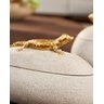 Caixa Pote Organizador Decorativo Camaleão Polirresina Mart:dourado - 4