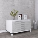 Ver imagem 1 de Mapoteca Mont 5 Gavetas 71,3cm x 120,4cm Aço Branco/Cinza