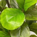 Ver imagem 3 de Árvore Ficus Lyrata Toque Real 210cm com Tronco Natural e Vaso Thai Off-white