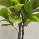 Ver imagem 5 de Árvore Ficus Lyrata Toque Real 210cm com Tronco Natural e Vaso Thai Off-white