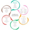 Ver imagem 2 de Essencia Aromatizante 10ml Clássica Aroma Baby