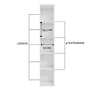 Ver imagem 2 de Estante Livreiro com Prateleiras Janaína Kit 3 Unid Branco