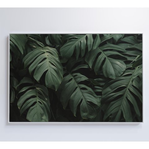 Quadro Folhas - 90x60 Cm - Adesivo Fotográfico