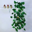 Ver imagem 4 de Vaso Branco com Jiboia Artificial