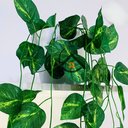 Ver imagem 5 de Vaso Branco com Jiboia Artificial