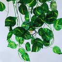 Ver imagem 6 de Vaso Branco com Jiboia Artificial