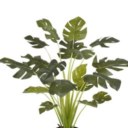 Planta Artificial Costela de Adão - 5