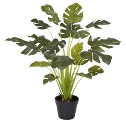 Planta Artificial Costela de Adão - 1