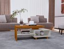 Ver imagem 3 de Mesa Centro Bechara Lima Apoio Mesinha Centro Decorativa Porta Objetos e Quadros Naturalle/off-cinza