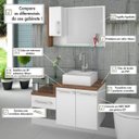 Ver imagem 7 de Gabinete para Banheiro 2 Portas 1 Gaveta com Cuba Q35 e Espelheira Legno 830W 